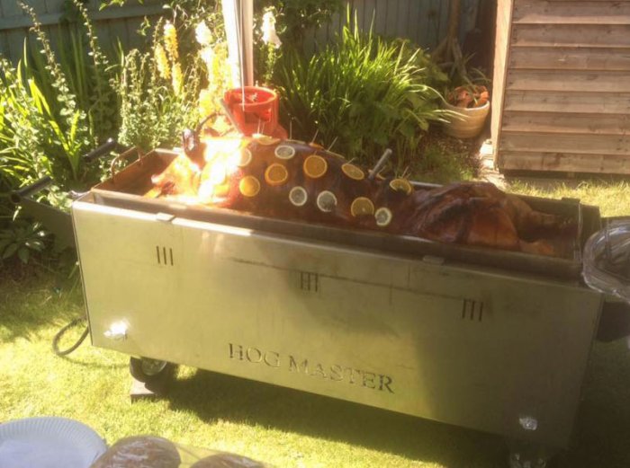 Hog roast machine