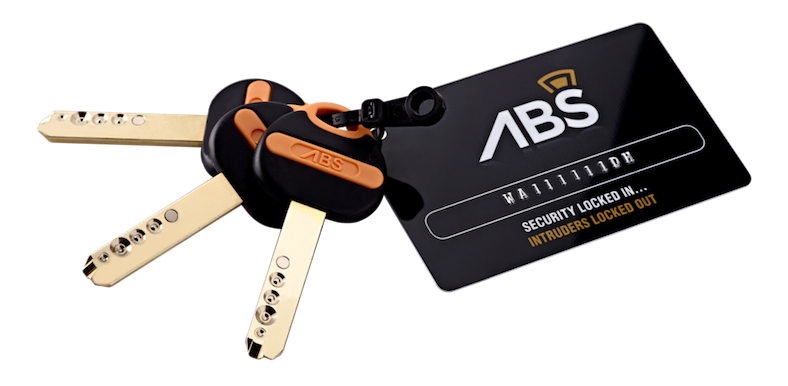  Pair of ABS Keys