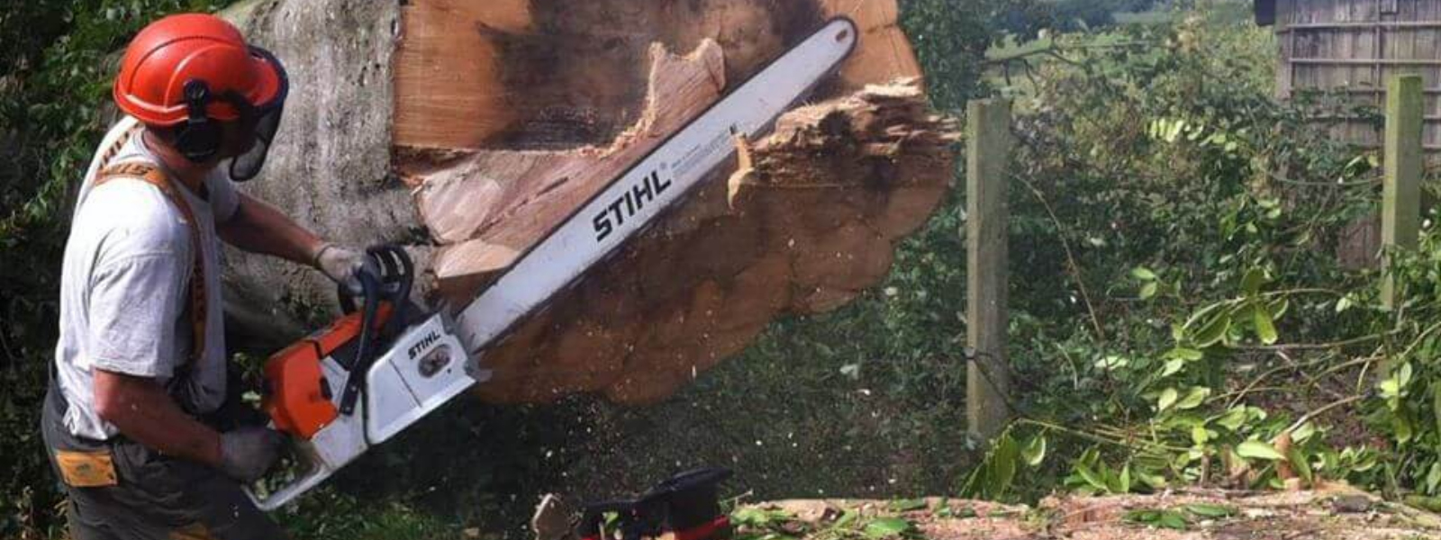 D & R Tree Services